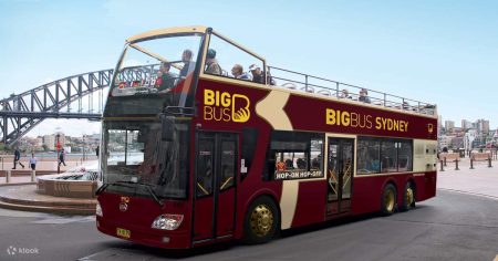 Tour of Sydney With Hop-On Hop-Off Bus