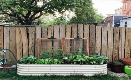 The Concept Of Raised Bed Gardening: What Makes It So Special?