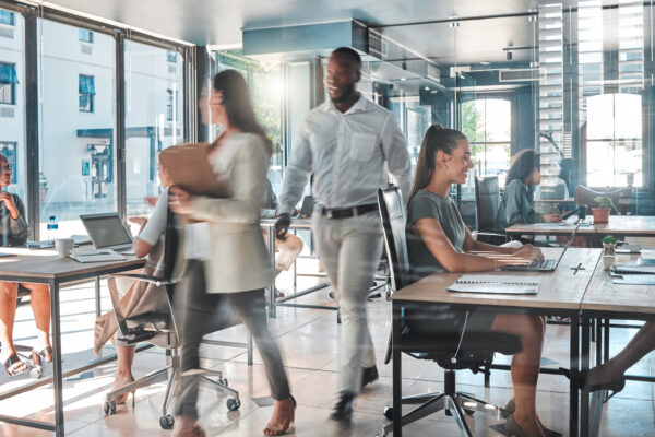 Charles Spinelli Helps in Understanding Legal Compliance in Employment